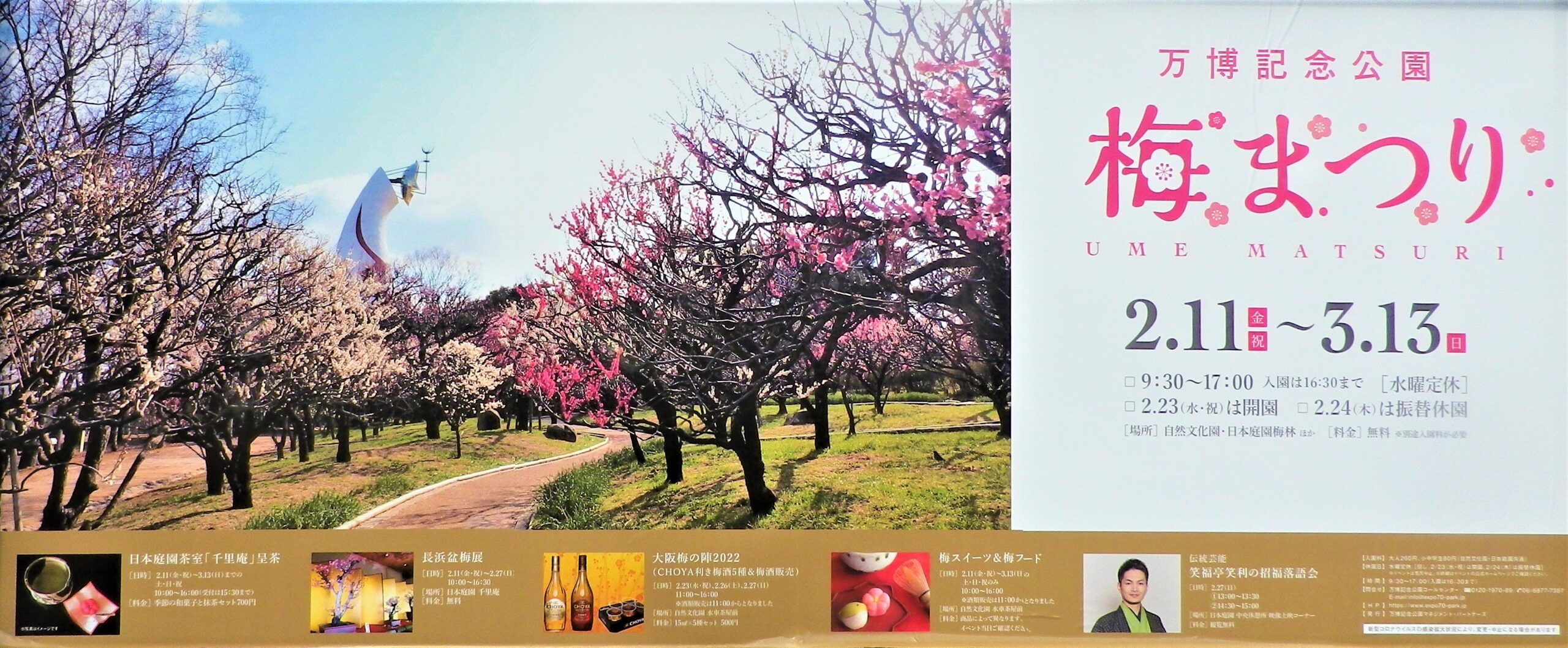 万博記念公園で 梅まつり が2 11 祝 3 13 日 開催中 満開の梅の花を愛でながら 春の一日を過ごしてみませんか ジモトコ吹田