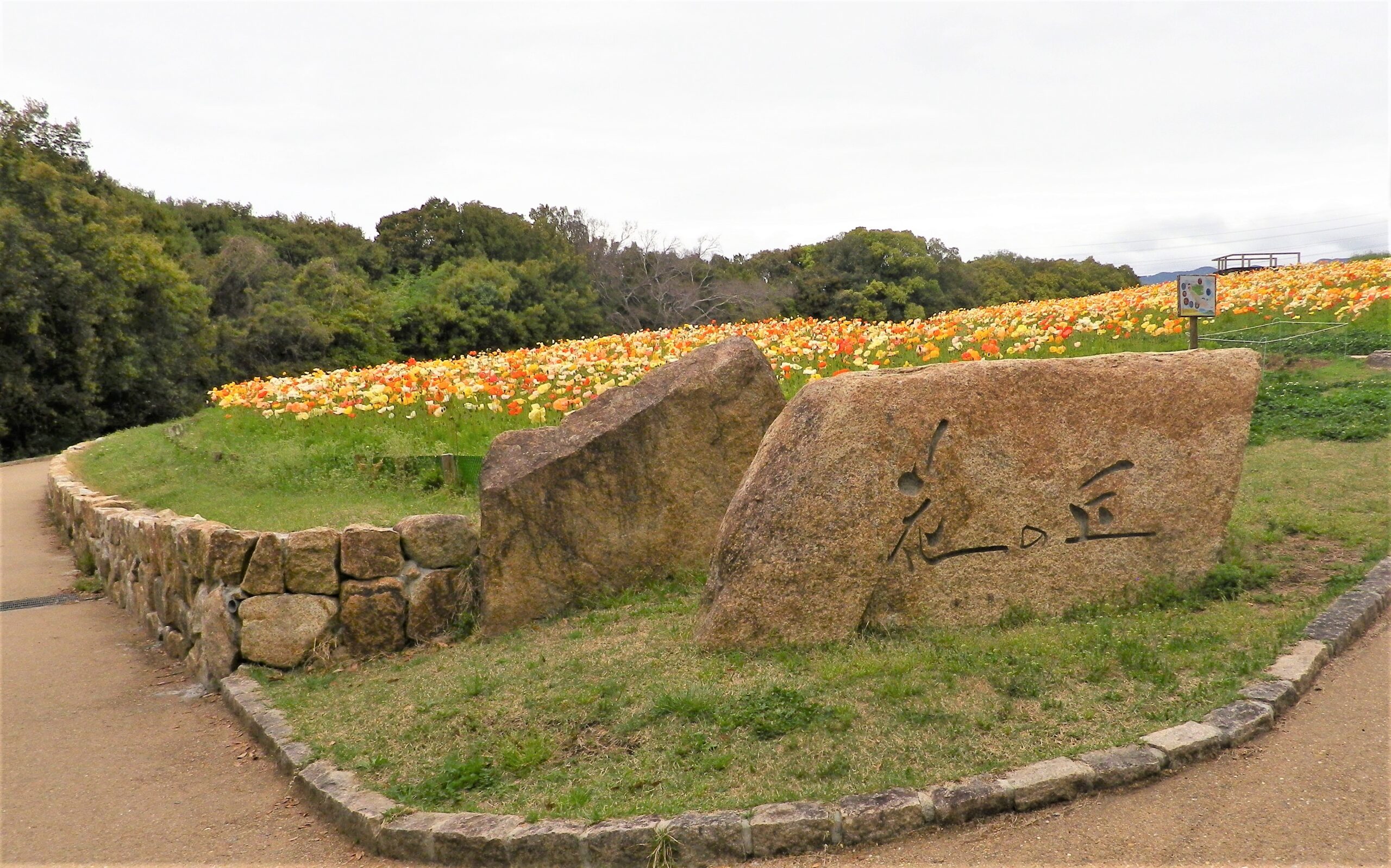 花の丘石