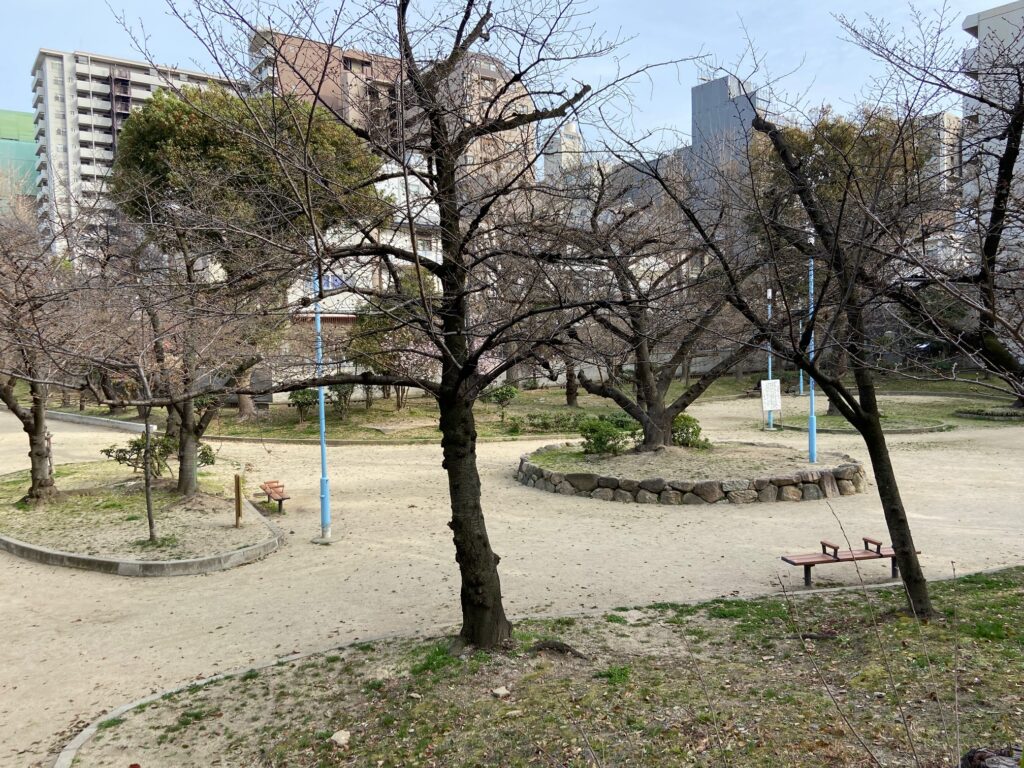 高津宮公園桜